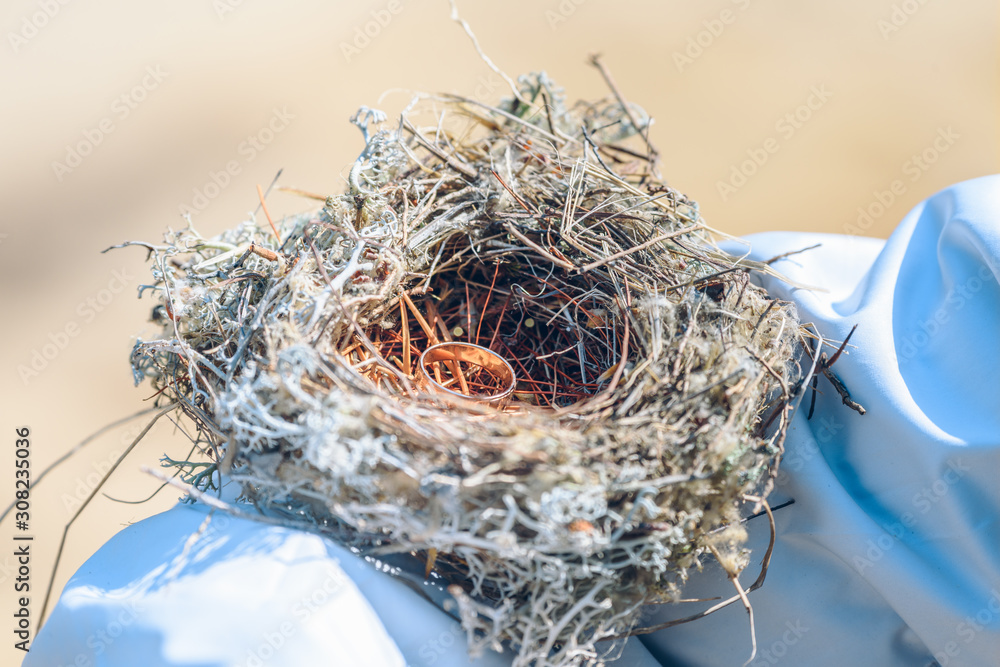 Breeding nest made by birds from grass, branches and pine needles on the shoulder of girl in the forest. Breeding nest made by birds from grass, branches and pine needles on the shoulder of girl in the forest.