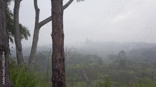 Fog in the mountains of Papua New Guinea, Goroka. photo