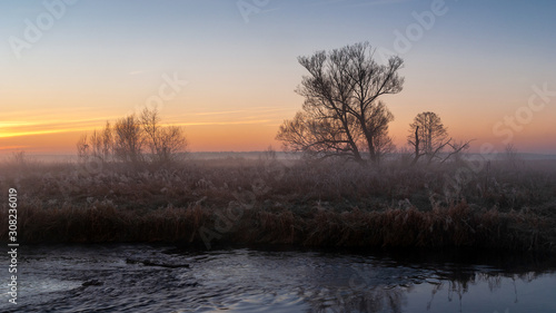 Mgły i szron o poranku, Rzeka Narew, Narwiański Park Narodowy, Podlasie, Polska © podlaski49