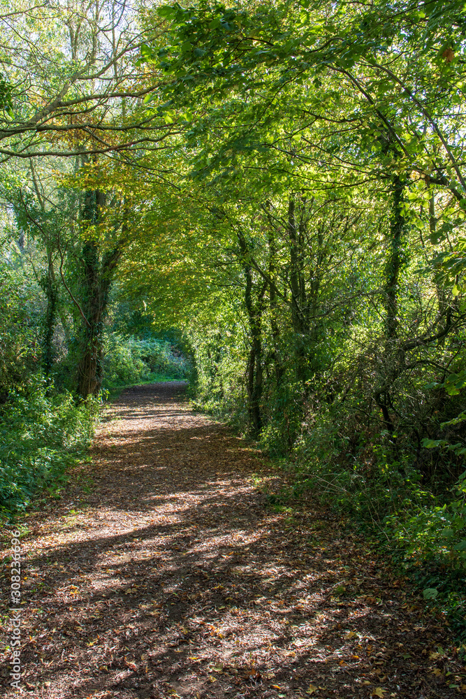 Fototapeta premium Chemin autour de la Glaisières de Nesles