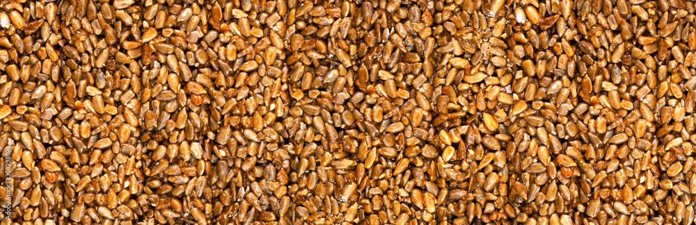 Sunflower Seeds in honey. Background. Texture. Kazinaki. Sunflower Seeds in honey. Background. Texture. Kazinaki.
