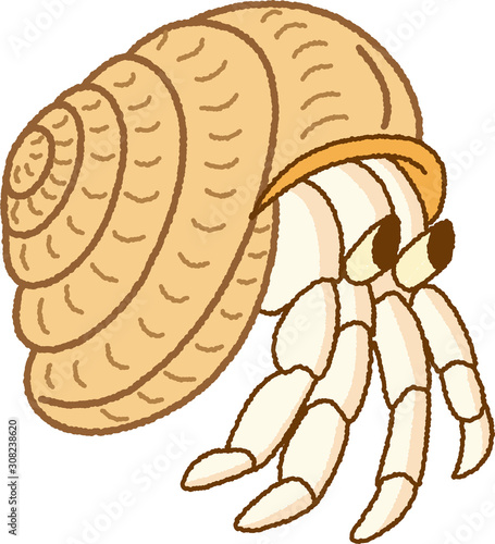 ヤドカリ　オカヤドカリ　手描き風　シンプル　可愛い　ペット　イラスト