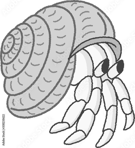 ヤドカリ　オカヤドカリ　手描き風　シンプル　可愛い　ペット　イラスト