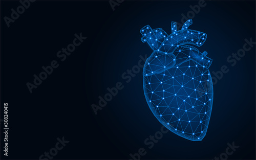 Human heart polygonal illustration