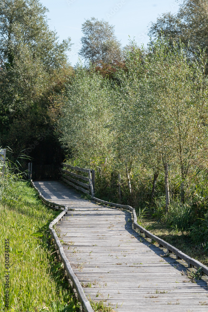 Chemin aménagé dans les étangs du Romelaëre Chemin aménagé dans les étangs du Romelaëre