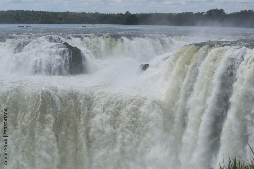 Fototapeta premium イグアスの滝 