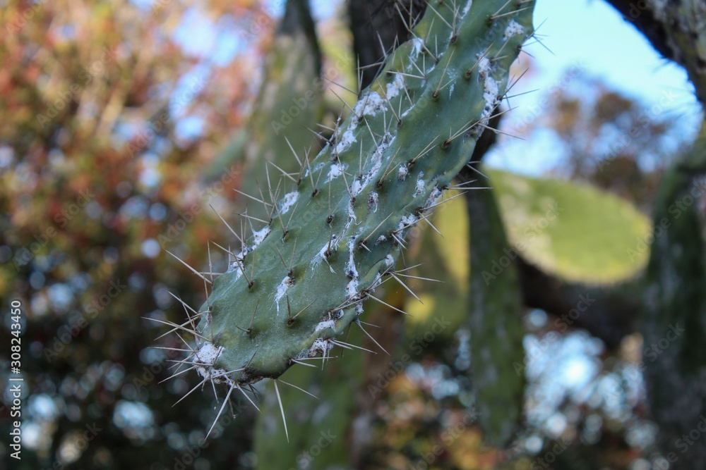 Fototapeta premium A amazing landscape whit a river 
