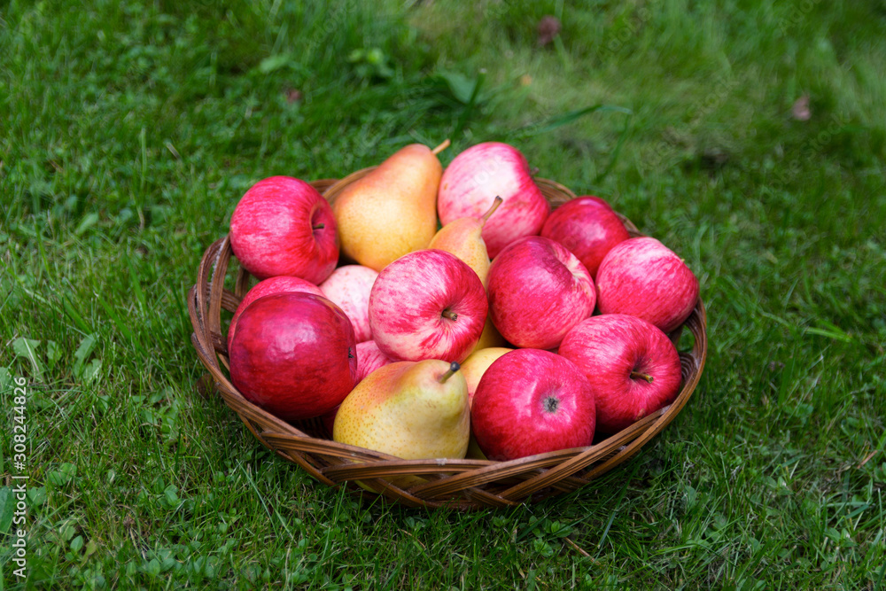 Fresh fruits on a background of green grass. Apples and pears in a wicker basket. The concept of a healthy diet and diet. Fresh fruits on a background of green grass. Apples and pears in a wicker basket. The concept of a healthy diet and diet.