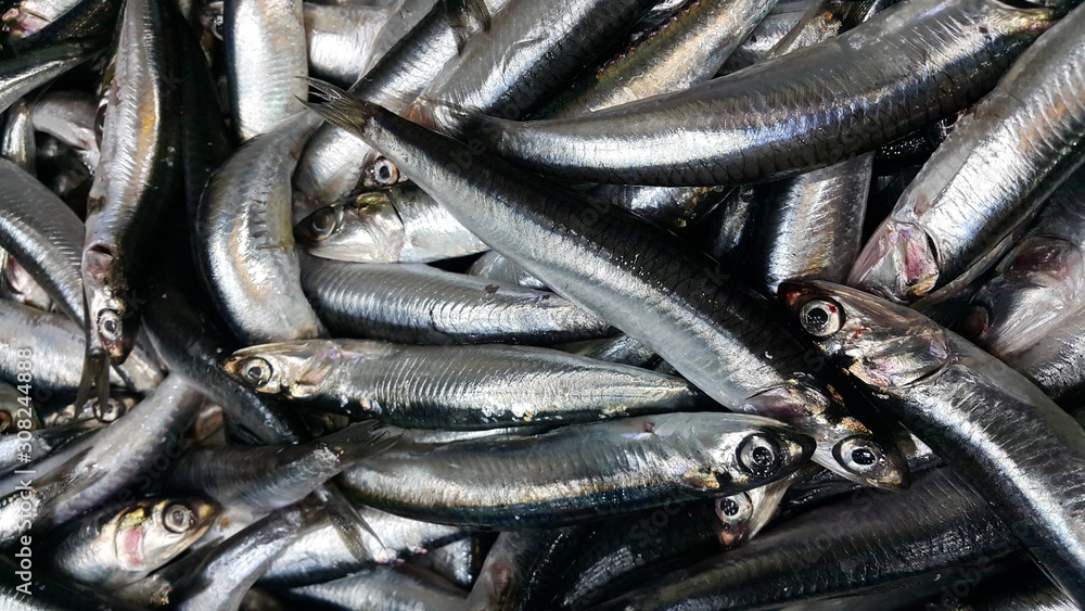 Fototapeta premium fresh marine fish for sale