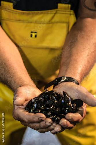 Moules de Noirmoutier