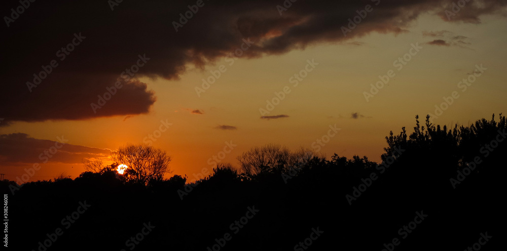 Fototapeta premium Sunset