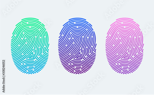 Fingerprints. Cyber security concept. Digital security authentication concept. Biometric authorization. Identification. Vector illustration of the fingerprint of different colors on a white background