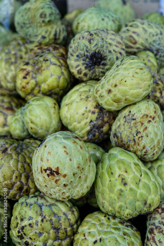 Close up image of Fresh green Cherimoya Close up image of Fresh green Cherimoya