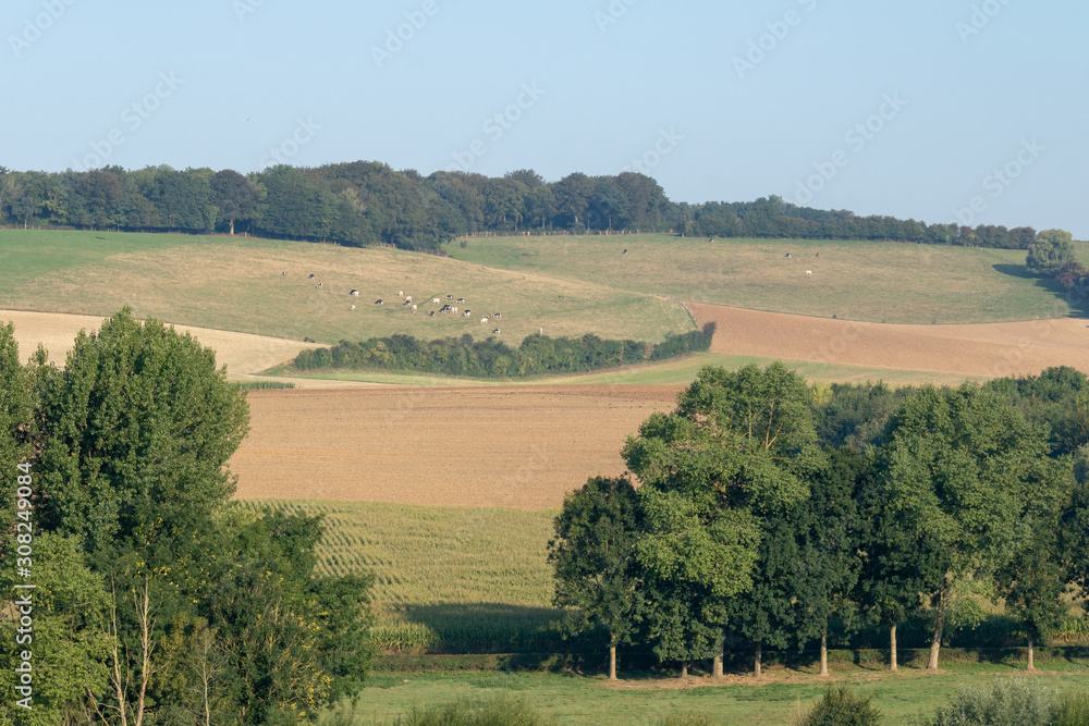 La campagne vers Doudeauville