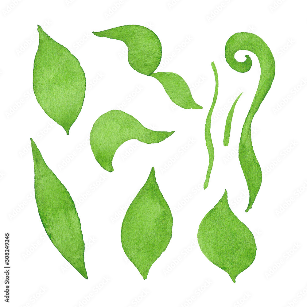 Set of green leaves of different shapes isolated on white. Watercolor illustration. Set of green leaves of different shapes isolated on white. Watercolor illustration.