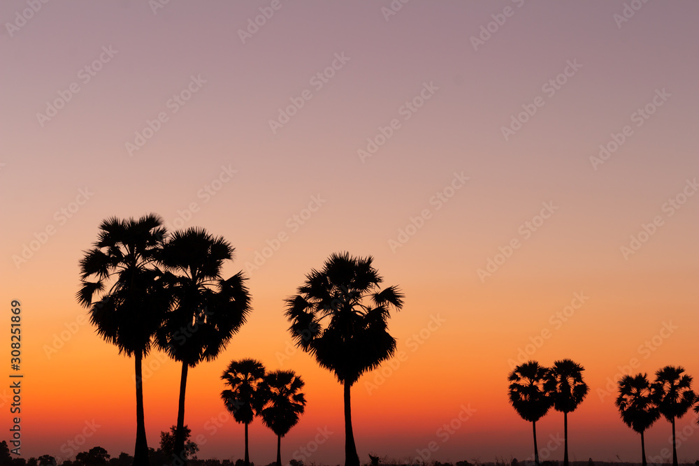 Silhouette palm tree with sunshine background. Silhouette palm tree with sunshine background.