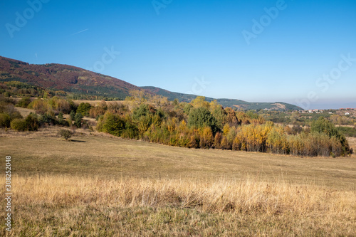 landscape in autumn