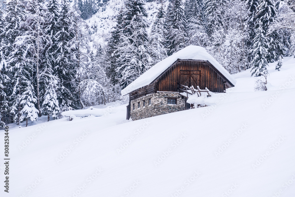 Traditional, old stable, cowshed for cows and horses. Farm building built of stones and wood. Winter mountain landscape in the Alps. The building, trees and mountains covered with snow.