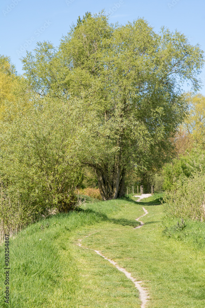 Sentier dans le marais de Guînes (Espace Naturel Sensible) Sentier dans le marais de Guînes (Espace Naturel Sensible)