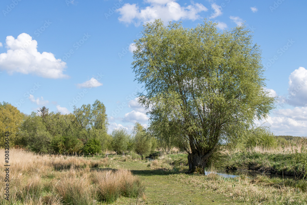 Rivière de Bouzats dans le marais de Guînes (Espace Naturel Sensible) Rivière de Bouzats dans le marais de Guînes (Espace Naturel Sensible)