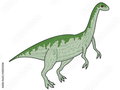 肉食恐竜エオラプトル