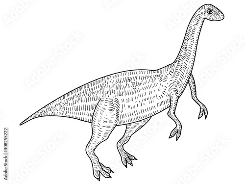 肉食恐竜エオラプトル 白黒の線画