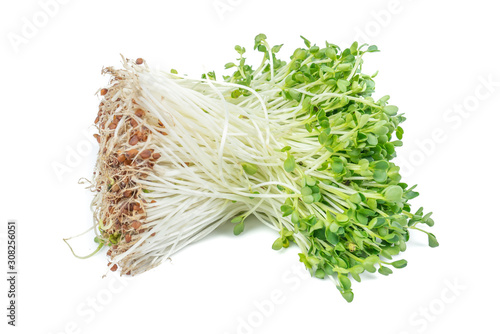 kaiware Daikon Sprouts, radish sprout (Daikon Radish Sprouts) or watercress isolated on white background.concept japanese vegetable for herb