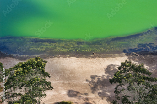 beautiful landscape view of the Telaga Warna lake surrounded by trees  taken from the height area aerial view  selectively focused