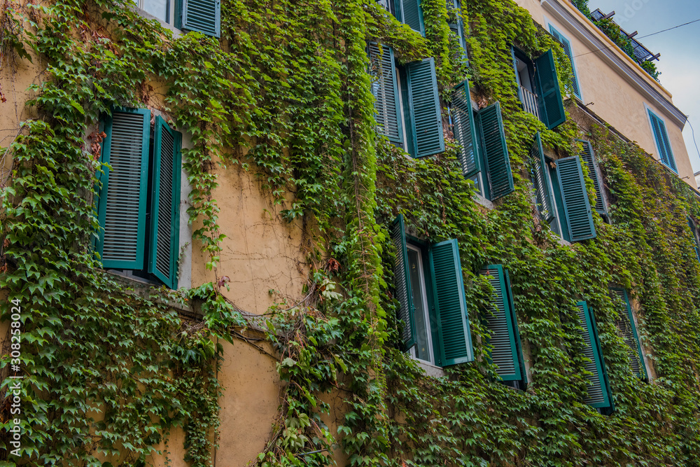 Beautiful and pitoresque street view in Rome, Trastevere district. Beautiful and pitoresque street view in Rome, Trastevere district.