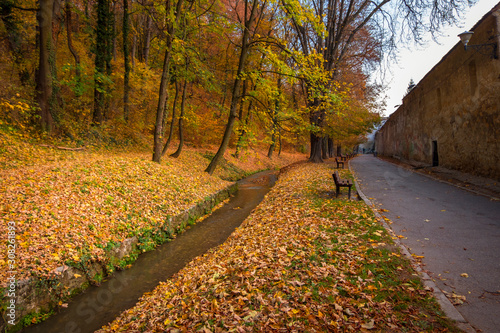 Autumn landscape in the city of Brasov