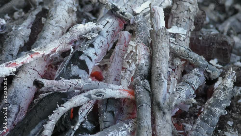 Bonfire in forest close up Bonfire in forest close up