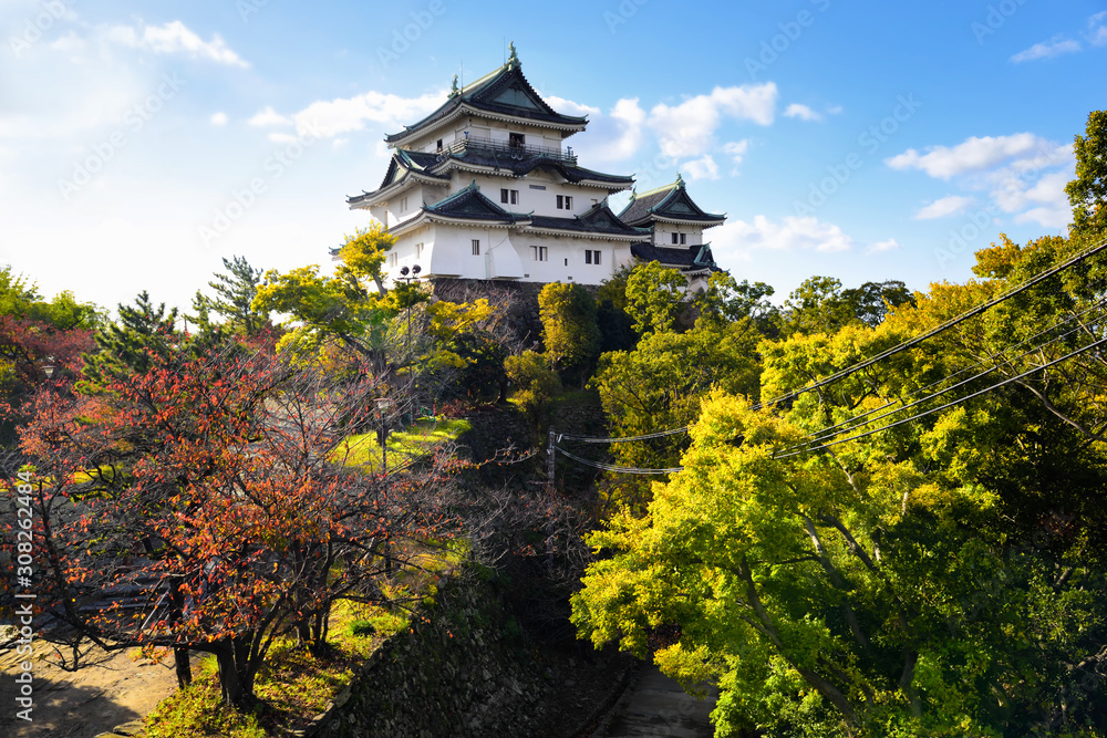 Wakayama caltle on blue sky background. Fall colour concept Wakayama caltle on blue sky background. Fall colour concept