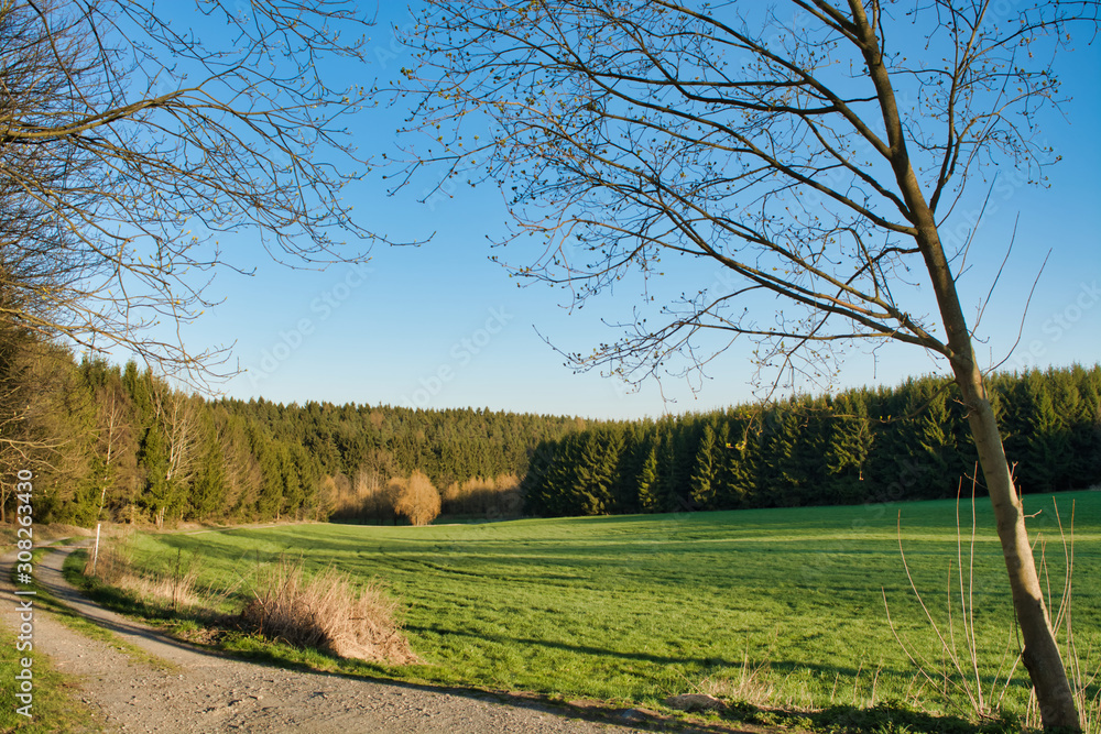 Scenic summer landscape with green fields Scenic summer landscape with green fields
