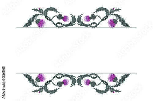 Frame for text with linear horizontal pattern of Scottish flower thistle on white.
