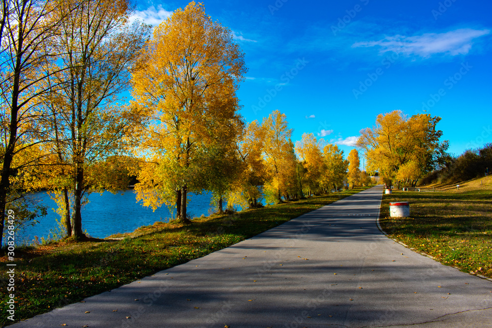 autumn in a park at the river Danube in Vienna