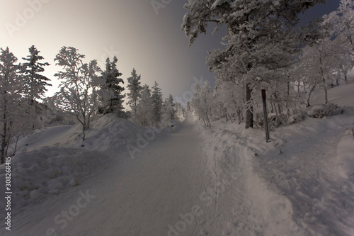 A frozen landscape in lapland during winter photo