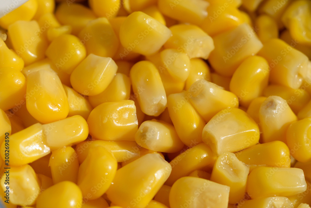 Canned corn in a jar closeup. Shallow depth of field Canned corn in a jar closeup. Shallow depth of field