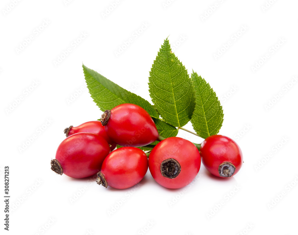 Ripe rose hip isolated on white background Ripe rose hip isolated on white background