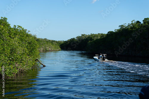 Boat river mangrove
