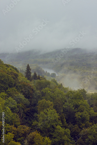 Aerial view on the Gauja National park with thick pine forest from the main tower of medieval Turaida Castle in cloudy  foggy and rainy day  Sigulda  Latvia. Soft focus on the pine tree in left corner