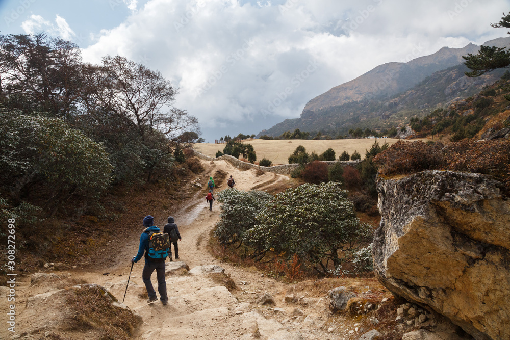 Travellers follow the trail in a beautiful valley. Nepal, near Namche Bazaar. 