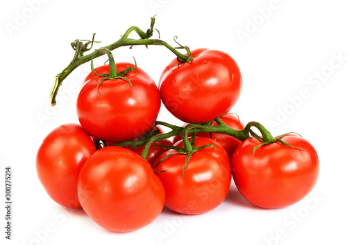 Bunch of red tomatoes on a green twig on an isolated background