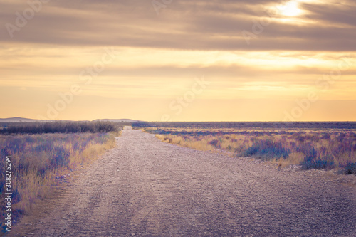 Beautiful colors of Namibia: gravel road with vanishing point crossing the Namibian desert during sunset, with dramatic cloudscape. Yellow sky, magenta and muted processing, nostalgic and vintage feel