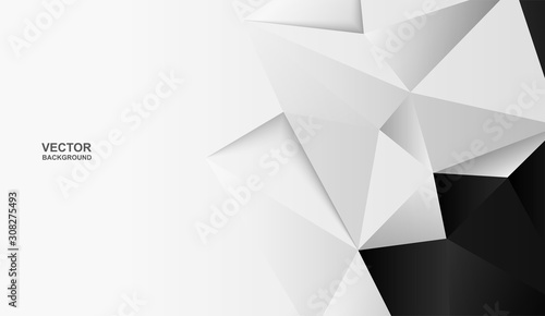 Abstract .Modern background. black-white polygon background. vector.