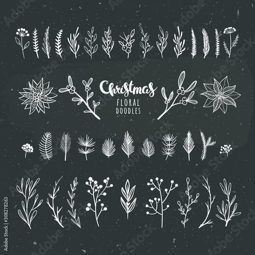 Christmas florals on chalkboard. Vector floral elements for winter holidays and seasonal decorations. White leaves, flowers, winter berries and pine branches.