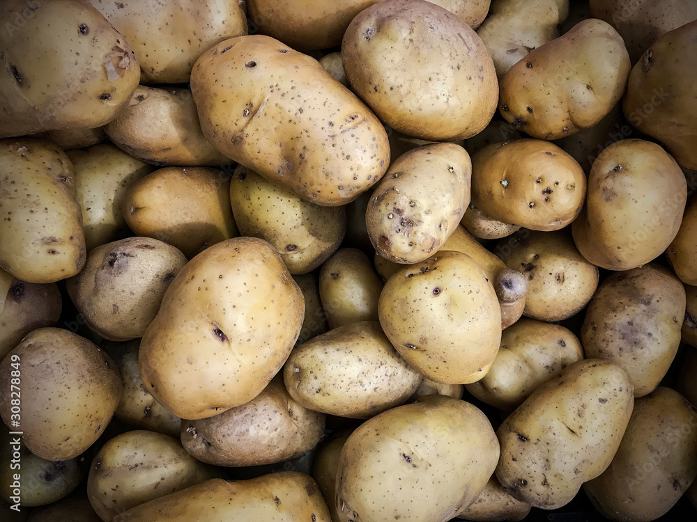 Close up potato texture background Close up potato texture background