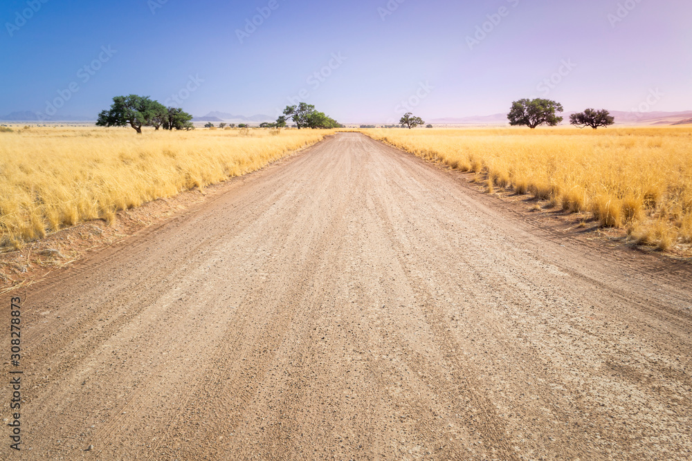 Fototapeta premium Grass-lined Namibian savanna gravel road during travel and self drive road trip in Africa. Showing horizon, infinity point and dramatic golden hour