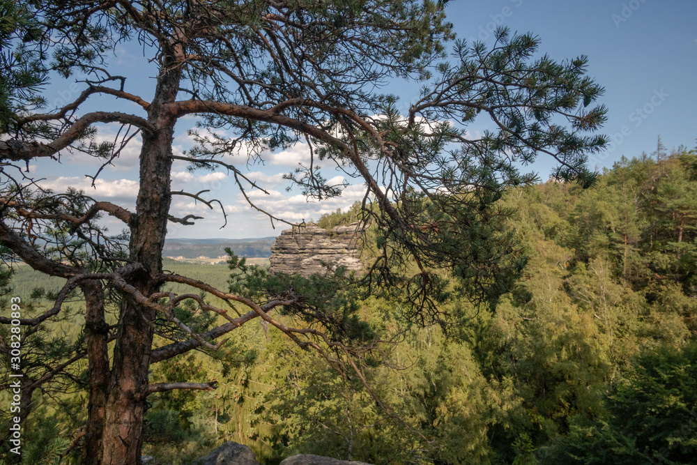 Der Blick vom Kleinen Zschirnstein schweift vom Bielatal, dem Paffenstein mit der Barbarine, den Gohrischstein bis zum Schrammstein.