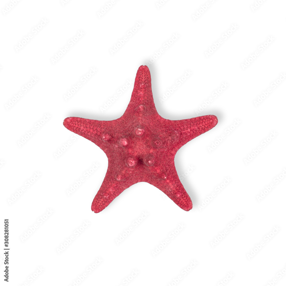 Dried Red sea star fish isolated on white background. Dried Red sea star fish isolated on white background.