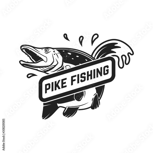 Pike fishing. Emblem template with pike fish. Design element for logo, label, sign, poster. Vector illustration